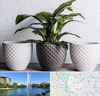 فروش گلدان پلاستیکی در کوهسنگی مشهد 