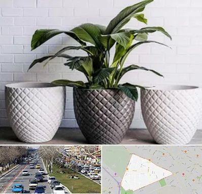 فروش گلدان پلاستیکی در احمدآباد مشهد 