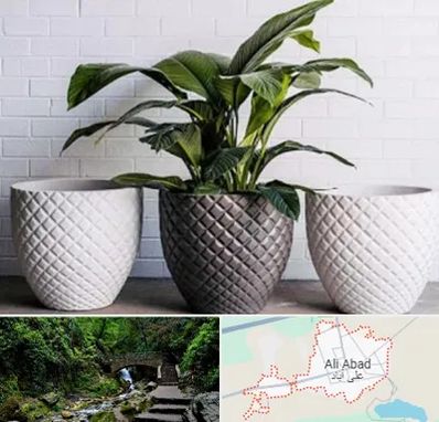 فروش گلدان پلاستیکی در علی آباد کتول