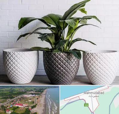 فروش گلدان پلاستیکی در محمودآباد