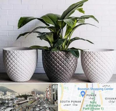 فروش گلدان پلاستیکی در پونک 