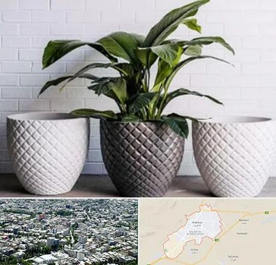 فروش گلدان پلاستیکی در شاهرود