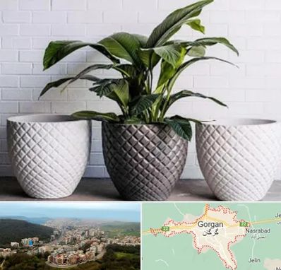 فروش گلدان پلاستیکی در گرگان