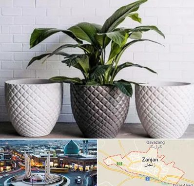 فروش گلدان پلاستیکی در زنجان