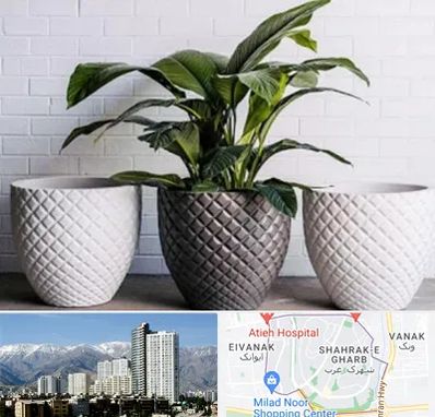 فروش گلدان پلاستیکی در شهرک غرب 