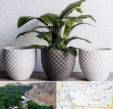 فروش گلدان پلاستیکی در کن 