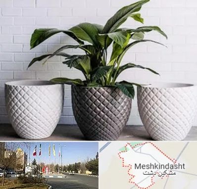 فروش گلدان پلاستیکی در مشکین دشت