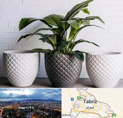 فروش گلدان پلاستیکی در تبریز