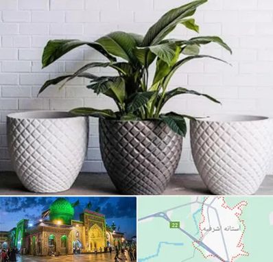 فروش گلدان پلاستیکی در آستانه اشرفیه