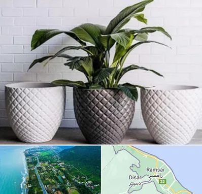 فروش گلدان پلاستیکی در رامسر
