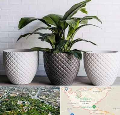 فروش گلدان پلاستیکی در شهرکرد