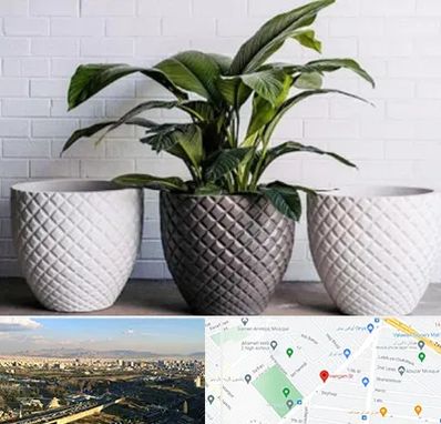 فروش گلدان پلاستیکی در هنگام 