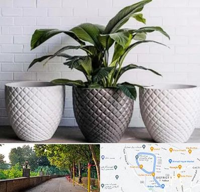 فروش گلدان پلاستیکی در فلکه گاز رشت 