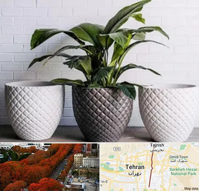 فروش گلدان پلاستیکی در ولیعصر 