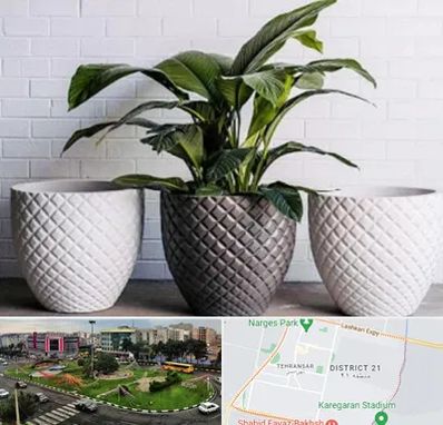 فروش گلدان پلاستیکی در تهرانسر 