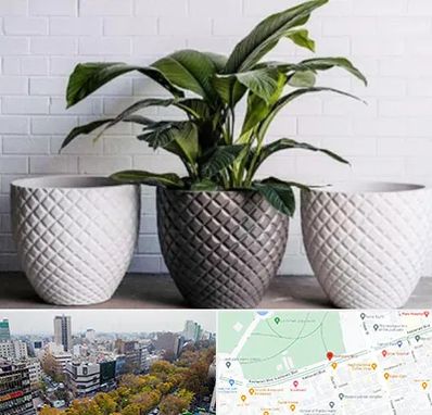 فروش گلدان پلاستیکی در بلوار کشاورز 