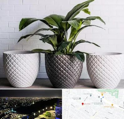 فروش گلدان پلاستیکی در هفت تیر مشهد 