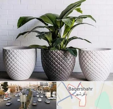 فروش گلدان پلاستیکی در باقرشهر