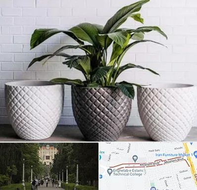 فروش گلدان پلاستیکی در بلوار معلم رشت 