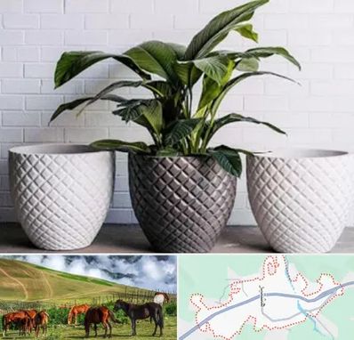 فروش گلدان پلاستیکی در تالش