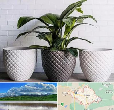 فروش گلدان پلاستیکی در مرند