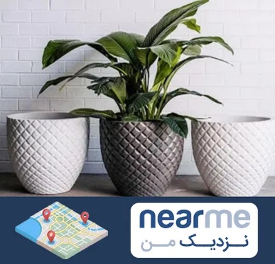 فروش گلدان پلاستیکی در نزدیک من