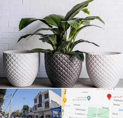 فروش گلدان پلاستیکی در افسریه 