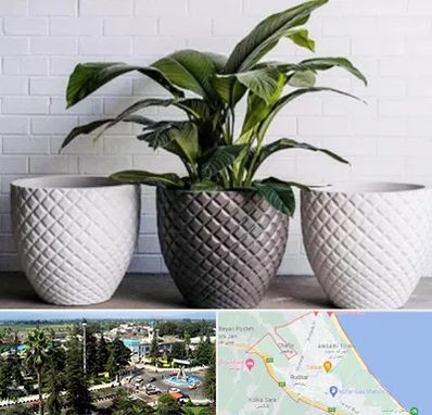 فروش گلدان پلاستیکی در رودسر