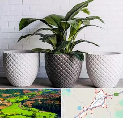 فروش گلدان پلاستیکی در نکا