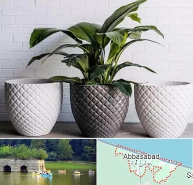 فروش گلدان پلاستیکی در عباس آباد