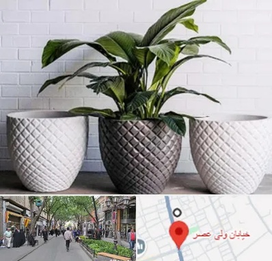 فروش گلدان پلاستیکی در ولیعصر شهریار