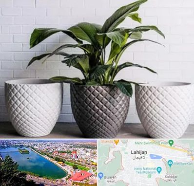 فروش گلدان پلاستیکی در لاهیجان