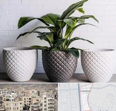 فروش گلدان پلاستیکی در اسکندری