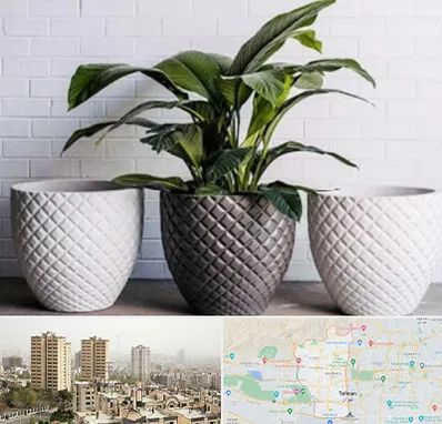 فروش گلدان پلاستیکی در منطقه 5 تهران 