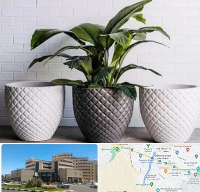 فروش گلدان پلاستیکی در صیاد شیرازی مشهد 