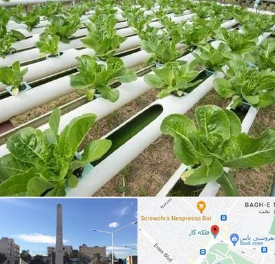 فروش تجهیزات هیدروپونیک در فلکه گاز شیراز 