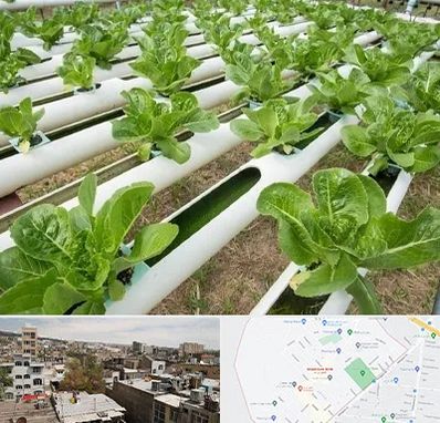 فروش تجهیزات هیدروپونیک در شمیران نو 