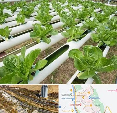 فروش تجهیزات هیدروپونیک در خیابان نیایش شیراز 