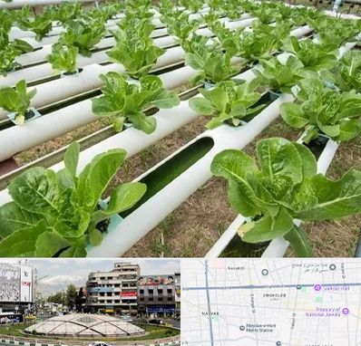 فروش تجهیزات هیدروپونیک در مرکز تهران