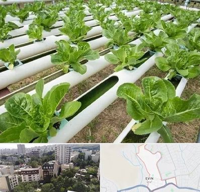 فروش تجهیزات هیدروپونیک در اوین