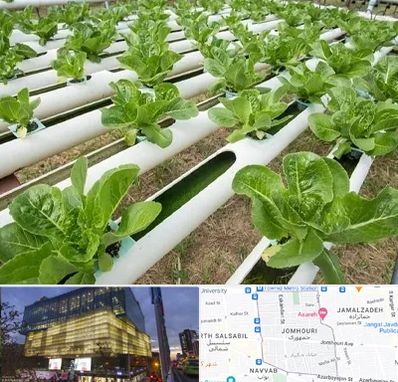 فروش تجهیزات هیدروپونیک در جمهوری 