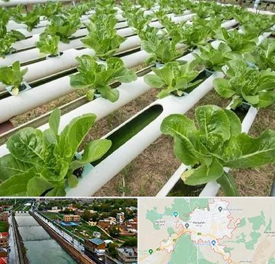 فروش تجهیزات هیدروپونیک در مراغه