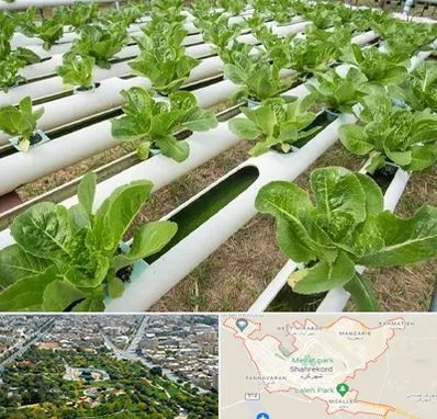 فروش تجهیزات هیدروپونیک در شهرکرد