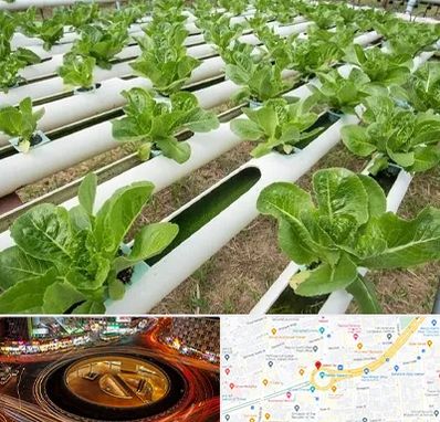 فروش تجهیزات هیدروپونیک در میدان ولیعصر 