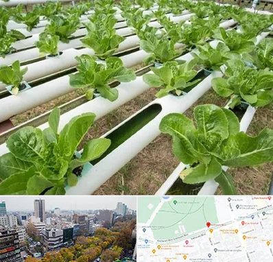 فروش تجهیزات هیدروپونیک در بلوار کشاورز 