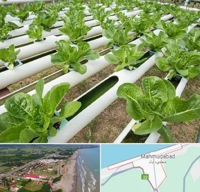 فروش تجهیزات هیدروپونیک در محمودآباد