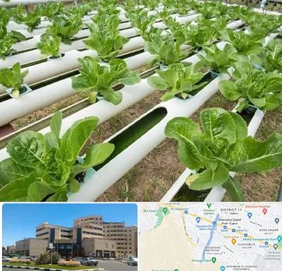 فروش تجهیزات هیدروپونیک در صیاد شیرازی مشهد 