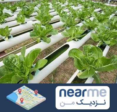فروش تجهیزات هیدروپونیک در نزدیک من