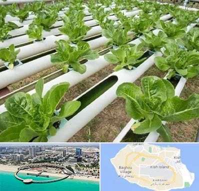 فروش تجهیزات هیدروپونیک در کیش