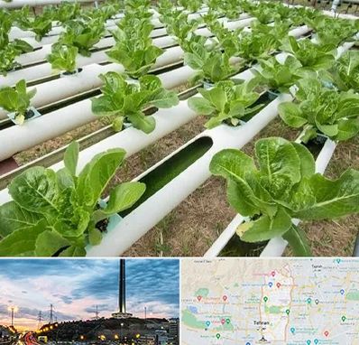 فروش تجهیزات هیدروپونیک در منطقه 2 تهران 